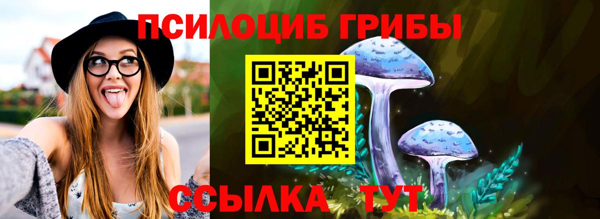 Галлюциногенные грибы Cubensis Ростов-на-Дону